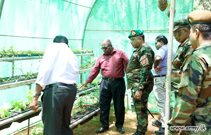 Academic Delegation from University of Jaffna Enhances Cultivation at Army Farm, Jaffna