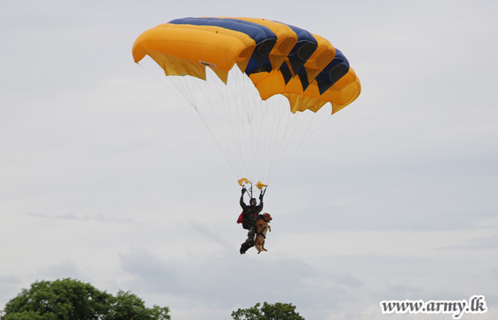 Commando Parachutist Makes History Descending with War Dog, Teesha