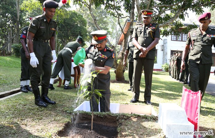 Commander Planting a Mango Sapling Gives a Symbolic Contribution to National Tree Planting Drive