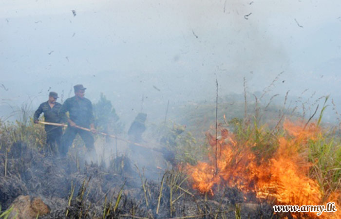 Troops Fighting Against Bushfire