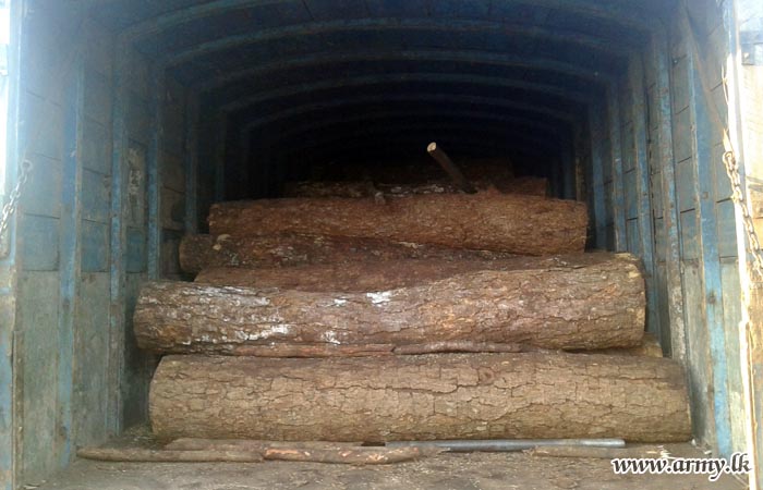 Alert Troops Apprehend One More Lorryload of Satinwood from Madu Area