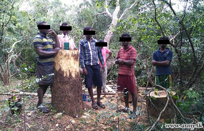 Suspects in Illicit Tree Felling Nabbed while in Action
