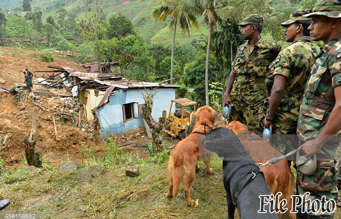 UPDATE:   More than 300 Army Troops with Sniffer-Dogs Now at Aranayake & Bulathkohupitiya