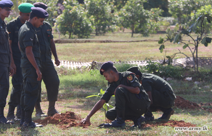 Kilinochchi Troops Plant Trees to Coincide with National Environment Week