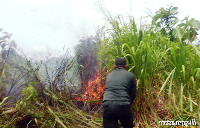Army Troops Control Bush Fire