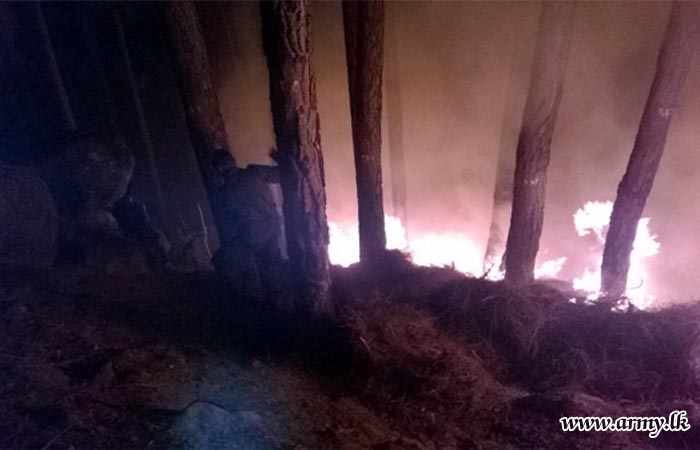 Troops Douse Wildfire: 11 Division Meanwhile Supports Dengue Prevention