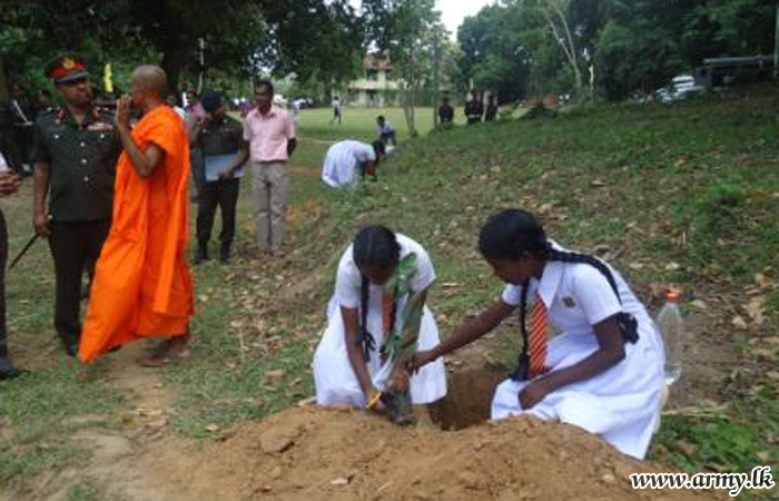 Tree Planting Goes to Three Provincial Schools