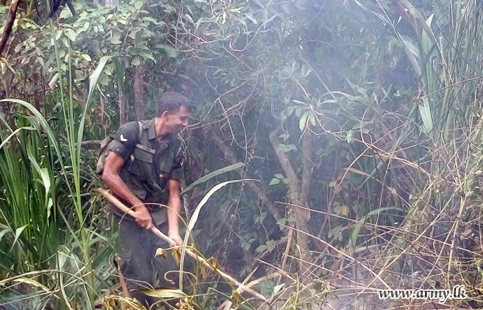 Army Troops Bring Bushfires Under Control