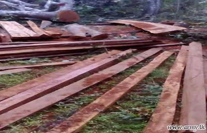 Cleaved Palu Timber Stock Nabbed in Sannar Area