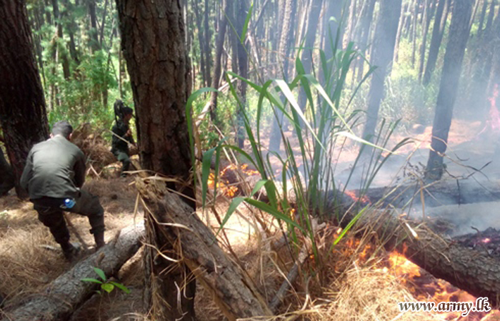 112 Brigade Troops Control One More Bushfire at Ella