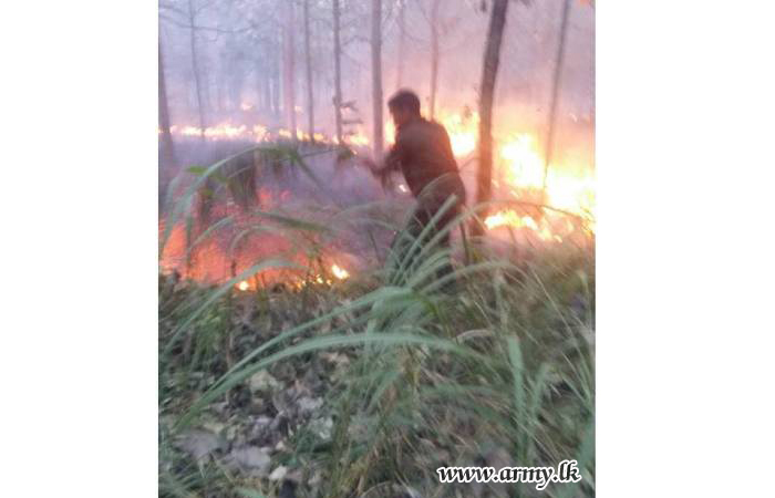 121 Brigade Troops Control One More Bushfire at Tanamalwila