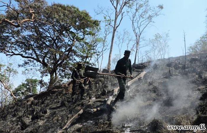 Army Troops Control Bush Fires at Randenigala Forest