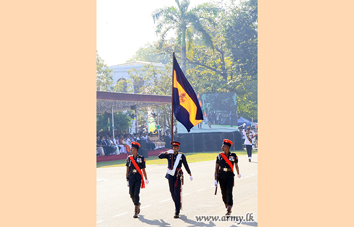 image gallery
