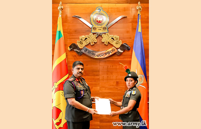 image gallery