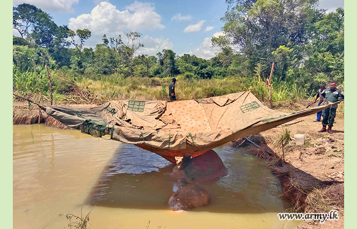 තුවාල ලැබූ ‘භාතිය’ හස්තියාට ප්‍රතිකාර කිරීම සඳහා යුද්ධ හමුදාවේ සහාය