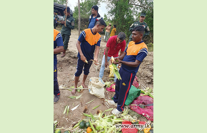 තුවාල ලැබූ ‘භාතිය’ හස්තියාට ප්‍රතිකාර කිරීම සඳහා යුද්ධ හමුදාවේ සහාය