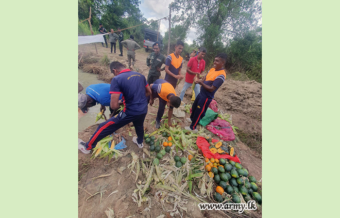 තුවාල ලැබූ ‘භාතිය’ හස්තියාට ප්‍රතිකාර කිරීම සඳහා යුද්ධ හමුදාවේ සහාය