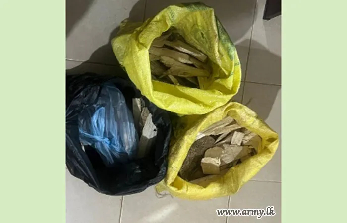 Three Arrested with Wallapatta Worth Rs. 8 Million in Kopiwaththa
