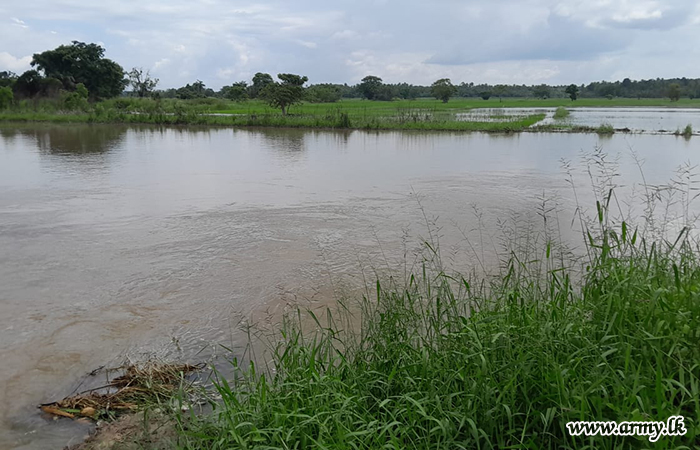 Heavy Rain Causes Rathmal Oya Bank Damage
