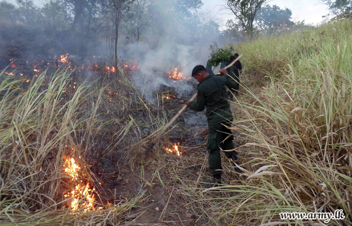 Central Troops Douse Wild Fire at Sapugoda Kanda, Moneragala