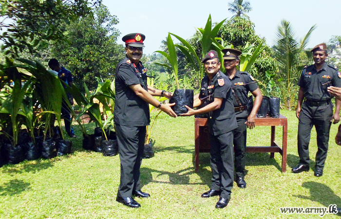 Field Engineers Headquarters Conducts Tree Planting Campaign