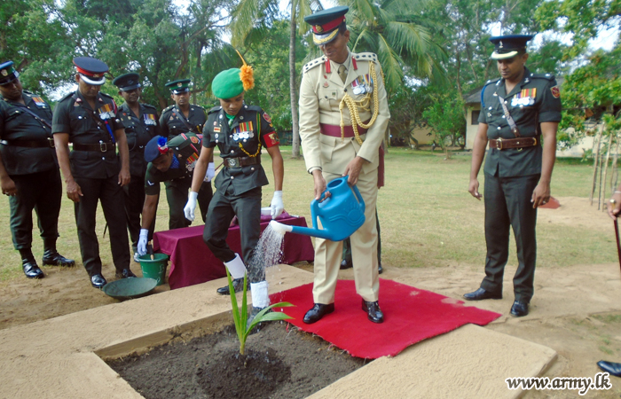 Troops Plant 500 Saplings to Mark 143 Brigade Anniversary 