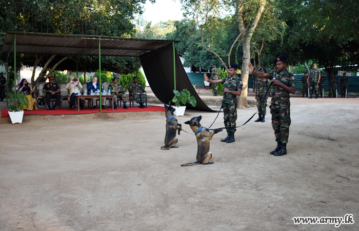 European Parliamentarians Watch Army De-mining Demonstration  