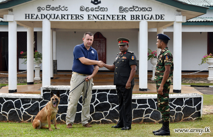 සිව් හැවිරිදි ‘නම්’ සුනඛයා ශ්‍රී ලංකාවේ මානුෂීය බිම් බෝම්බ ඉවත් කිරීම සඳහා යුද්ධ හමුදා සුනඛ බලකායට එක්වෙයි