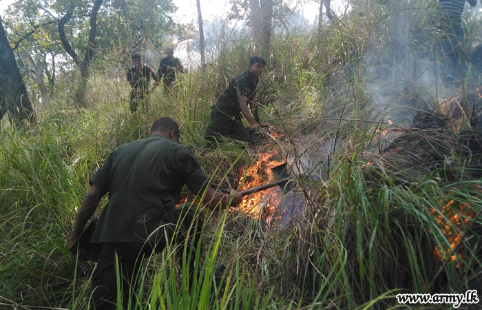 Central Troops Control Fires 
