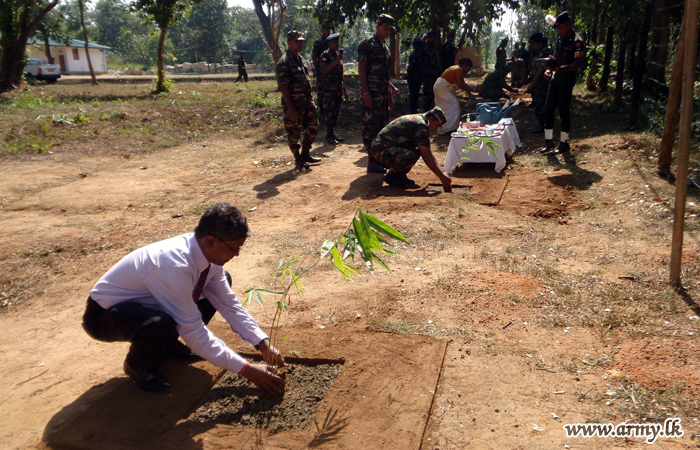 53 Div Troops Adorn Headquarters with Saplings