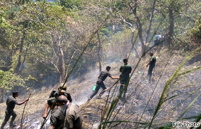 තේක්ක රක්‍ෂිතයේ ඇතිවු ගින්නක් මැඩපවත්වයි 