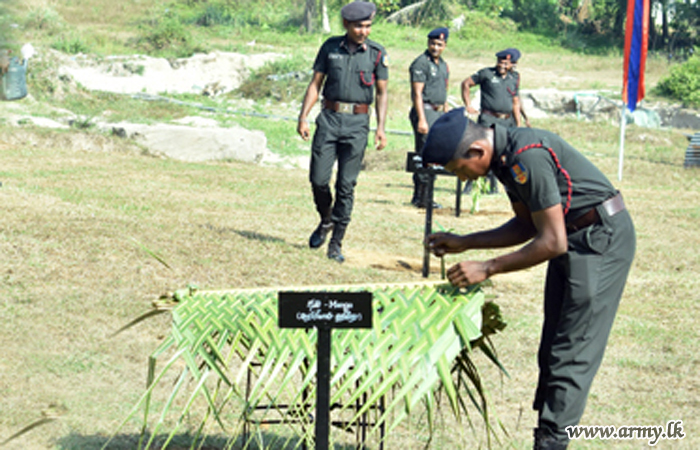 යුධෝපකරණ බලකාය හරිත පරිසරයක් නිර්මාණය කරයි