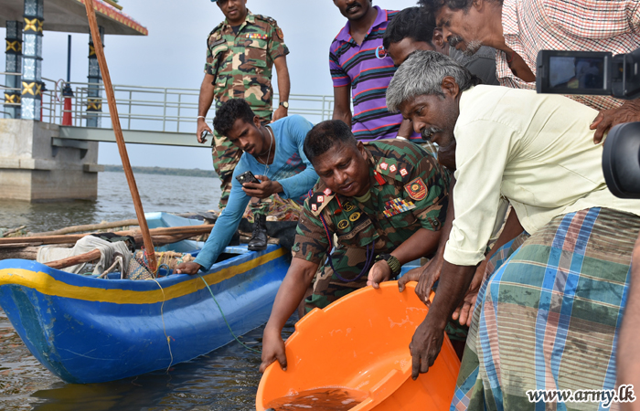 படையினரால் இனப்பெருக்கத்திற்காக மீன் குஞ்சுகள் இடும் பணிகள்