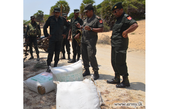 Army Troops Apprehend More Than 140 kg of Cannabis from Jaffna Forest Reserve  