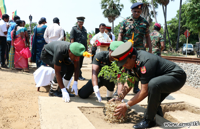 'Green Corridor from Jaffna to Vavuniya' Begins Planting 250 Saplings