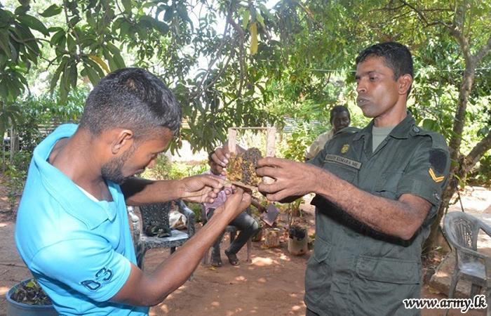 574 වන බලසේනා බලප්‍රදේශය තුළ “මී මැසි” පාලනය පිළිබඳව වැඩමුළුවක් 