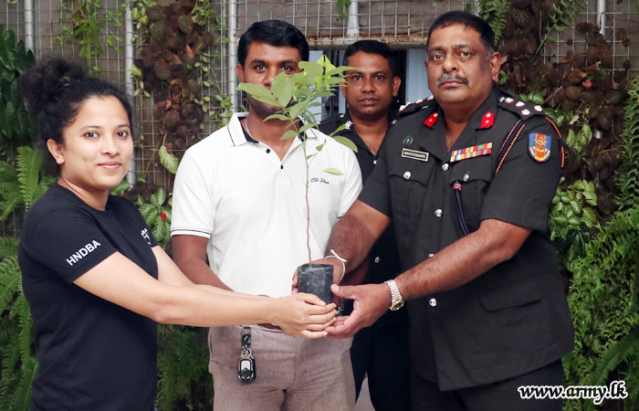 More Saplings Flow in for Wilpattu Reforestation Drive