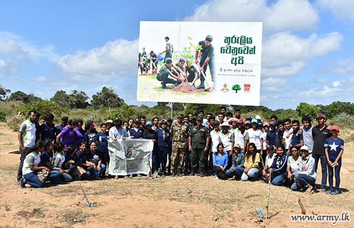 ප්‍රවීණ කලාකරුවන්, ගුරුවරුන්, පෞද්ගලික පරිත්‍යාගශීලීන් සහ ශිෂ්‍යයන් විසින් නව පැළ 8500 කට අධික ප්‍රමාණයක් විල්පත්තුවෙහි රෝපණය කරයි