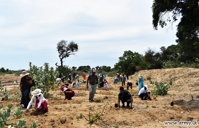 Badulla Students Take Lead in Wilpattu Reforestation, Now 