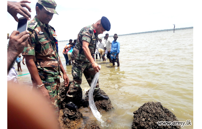 යුද්ධ හමුදා භටපිරිස් විසින් අභිජනනය කරන ලද මසුන් නිදහස් කරයි