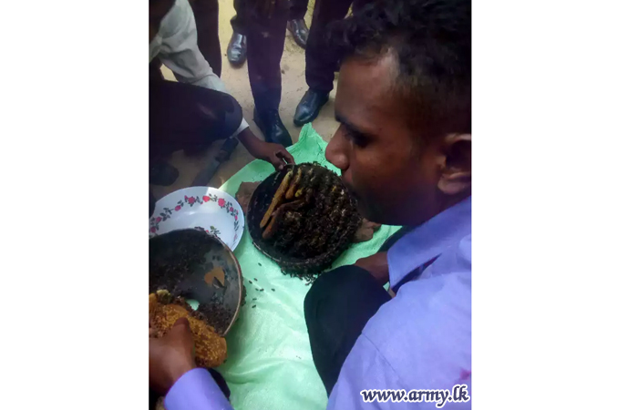 கிளிநொச்சியில் தேனீ வளர்ப்பு
