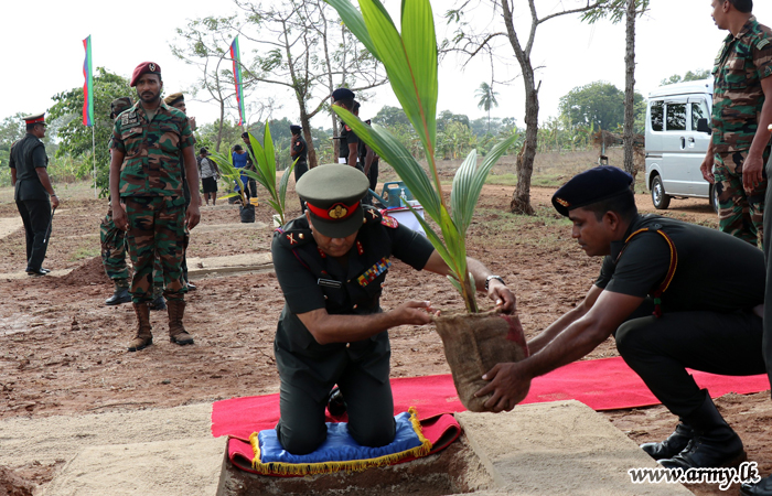 යාපනයේ භටපිරිස් පොල් වගාකිරීමේ ව්‍යාපෘතිය නොකඩවා පවත්වාගෙන යයි