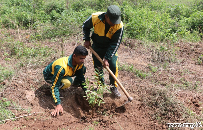 වික්ටෝරියා ජලාශයේ ඉවුරේ පැළ සටුවීම සඳහා 11 වන සේනාංකයේ භටපිරිස් සහය  වෙයි