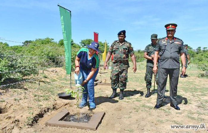 கண்டி உயர்நிலைப் பாடசாலையின்  மகளிர்கள் இணைந்து மரநடுகை பணிகளில்