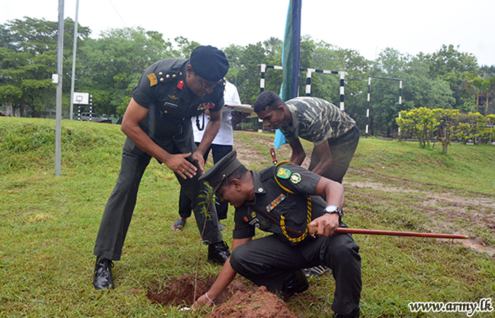 වන්නි ආරක්‍ෂක සේනා මූලස්ථාන පරිශ්‍රයේ තවත් කූඹූක් පැළ 100 ක් රෝපණය කරයි 