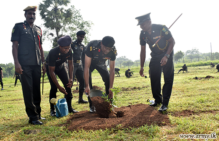 Wanni Plants Lime Saplings & Joins 'Parisara Punarudaya' Project