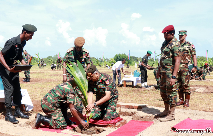 යාපනයේ යුද්ධ හමුදා සාමාජිකයින් පොල් වගා කිරීම පිළිබඳ අත්හදාබලයි