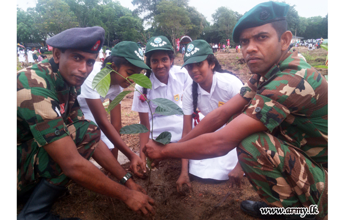 Mega Jak Planting Project Launched in the Eastern Region