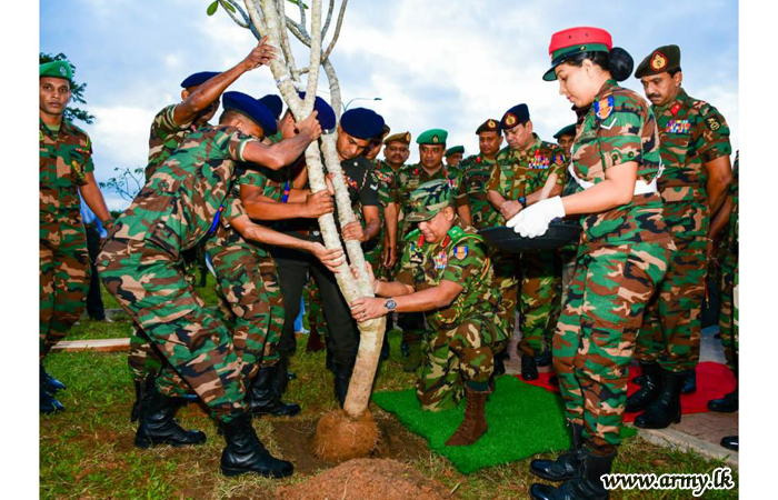 Mega 'Thuru Mithuru Nawa Ratak' Green Project Inaugurated to Cover All Island-wide Formations