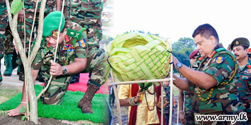 Army HQ Begins 2nd Phase of ‘Thuru Mithuru Nawa Ratak’ Harvesting Abandoned Paddy Fields